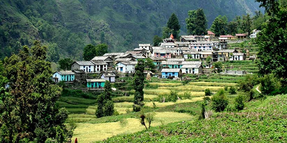 Tarikhet Village in Ranikhet